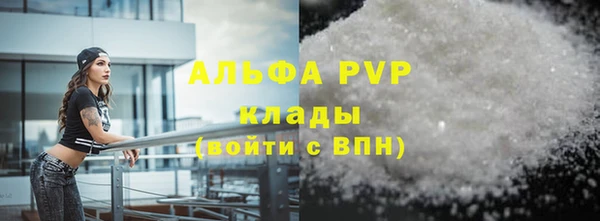 стаф Арсеньев