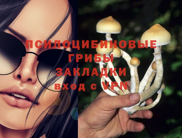 стаф Арсеньев
