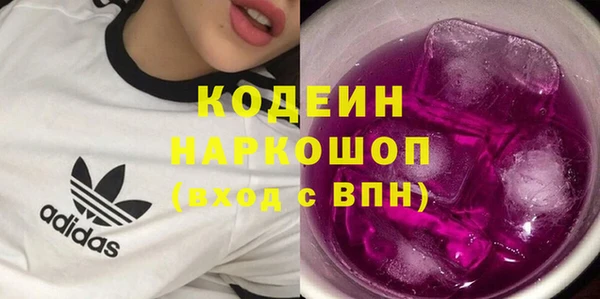 стаф Арсеньев