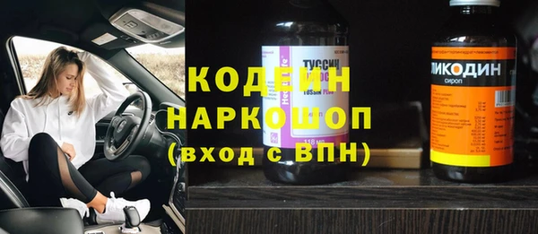 стаф Арсеньев